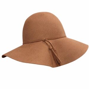 Elegant Tan Wide Brim Wool Hat